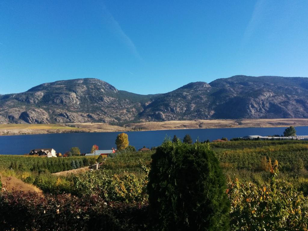 Ciliegia Villa Osoyoos Bilik gambar